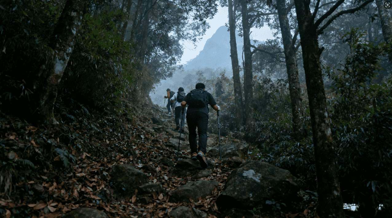 如何快速安全地下载海鸥加速器客户端的详细教程与操作指南